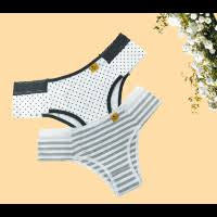 6 Peças de Conforto e Elegância: Calcinhas de Algodão com Renda e Pala Dupla - Mylla Lingerie